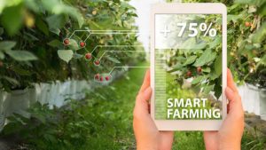 Smart-agriculture
