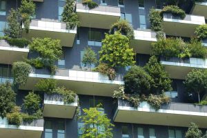 environment environment
